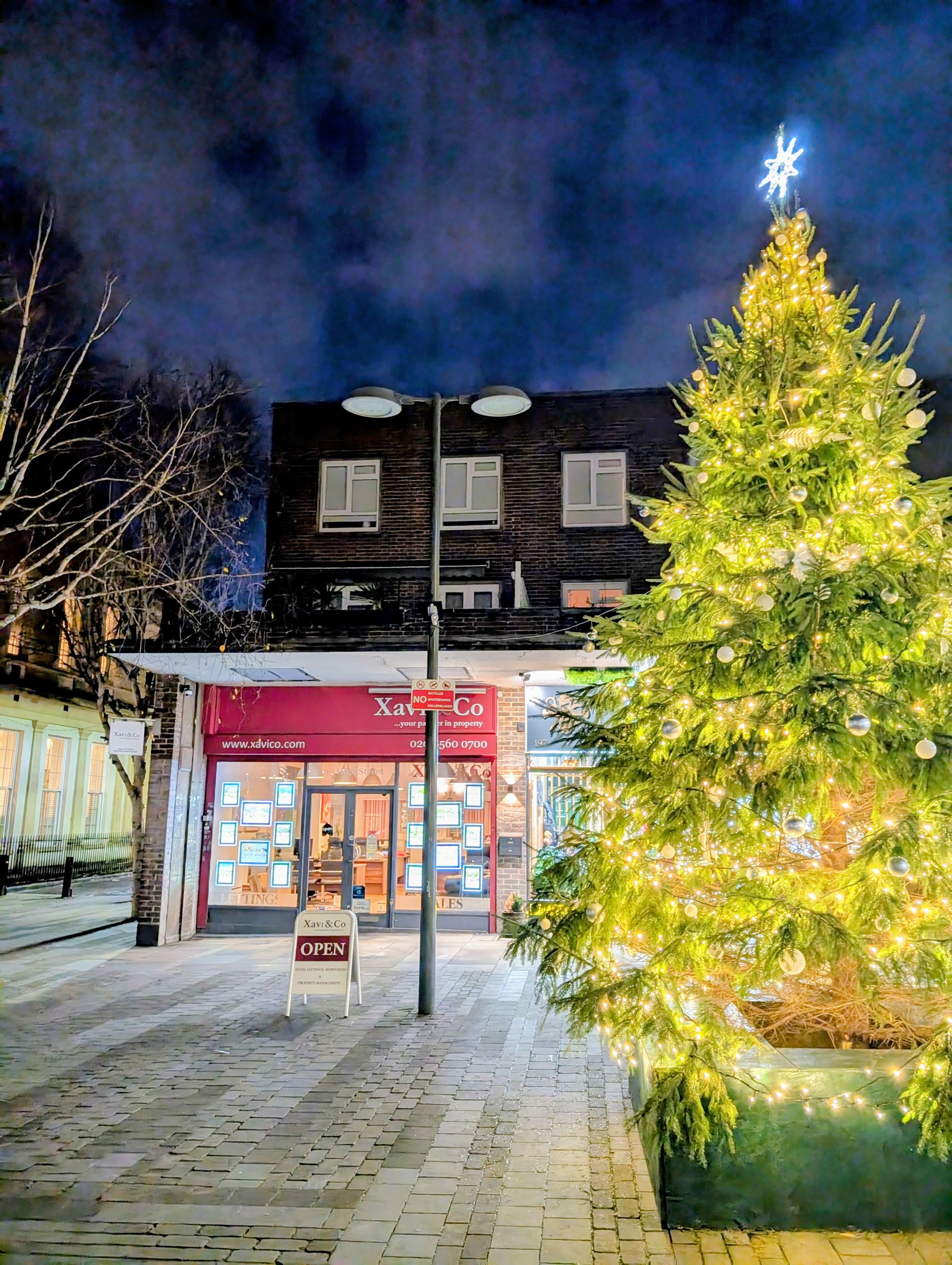 Image of lit up Christmas tree on the street