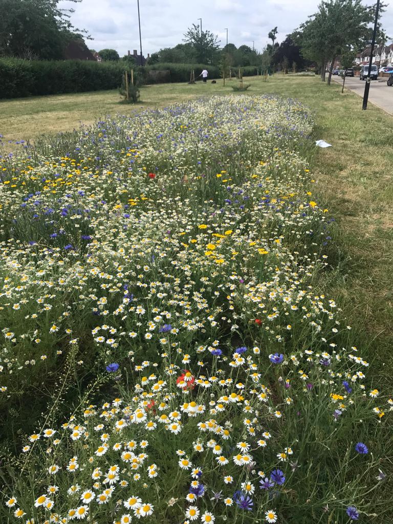 Staines Road, Bedfont