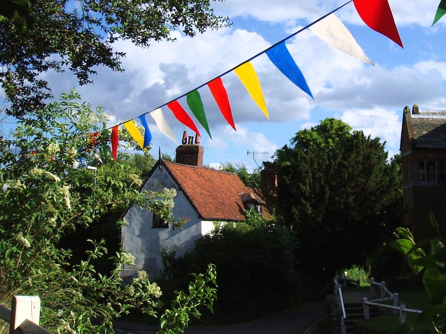 Image of bunting hanging between trees in front of a house