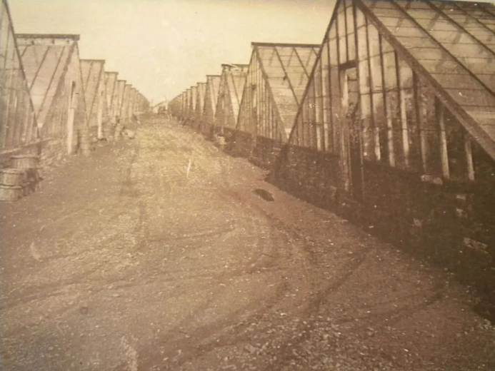 Glass city a w smith