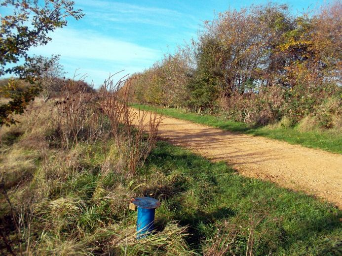 Gravel path curving through grassy heathland with scattered shrubs and trees under a clear blue sky.
